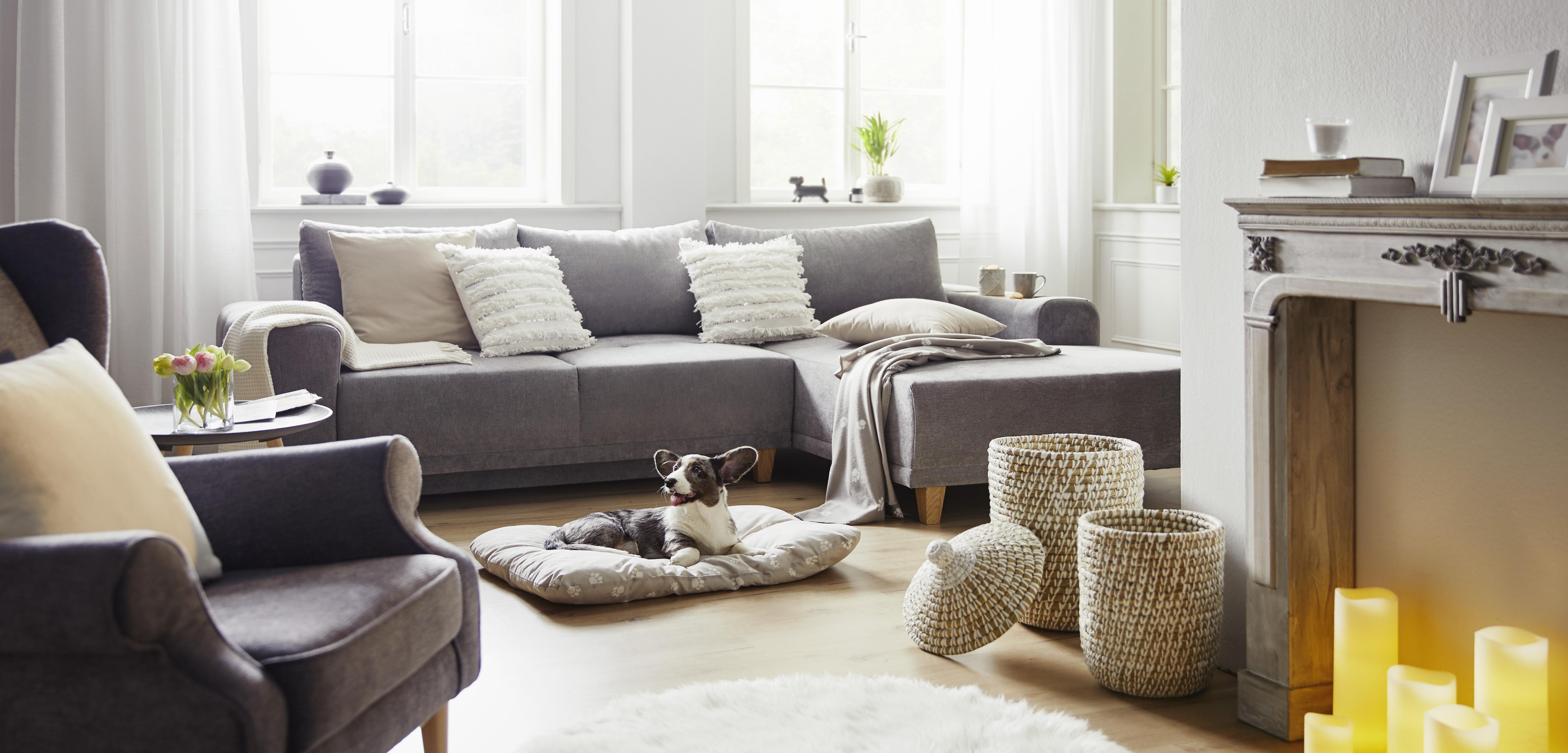 VANKÚŠ PRE DOMÁCE ZVIERATÁ PET - svetlohnedá, textil (60/80cm) - Modern Living