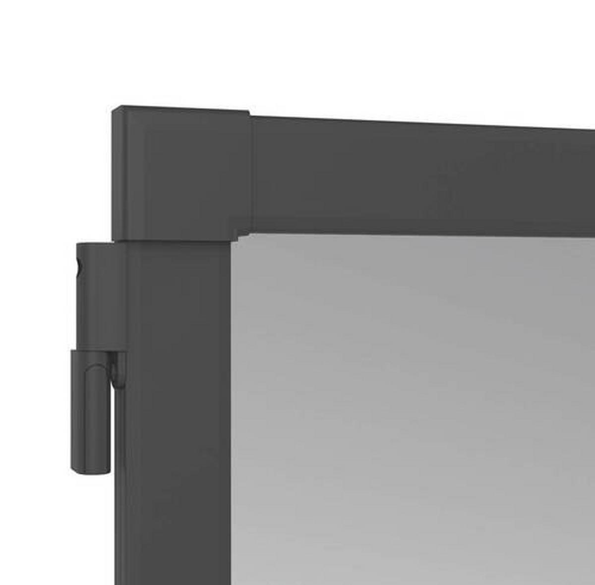 Fliegengitter Türe 100x210 cm Anthrazit - Anthrazit, Basics, Metall (100/210cm)