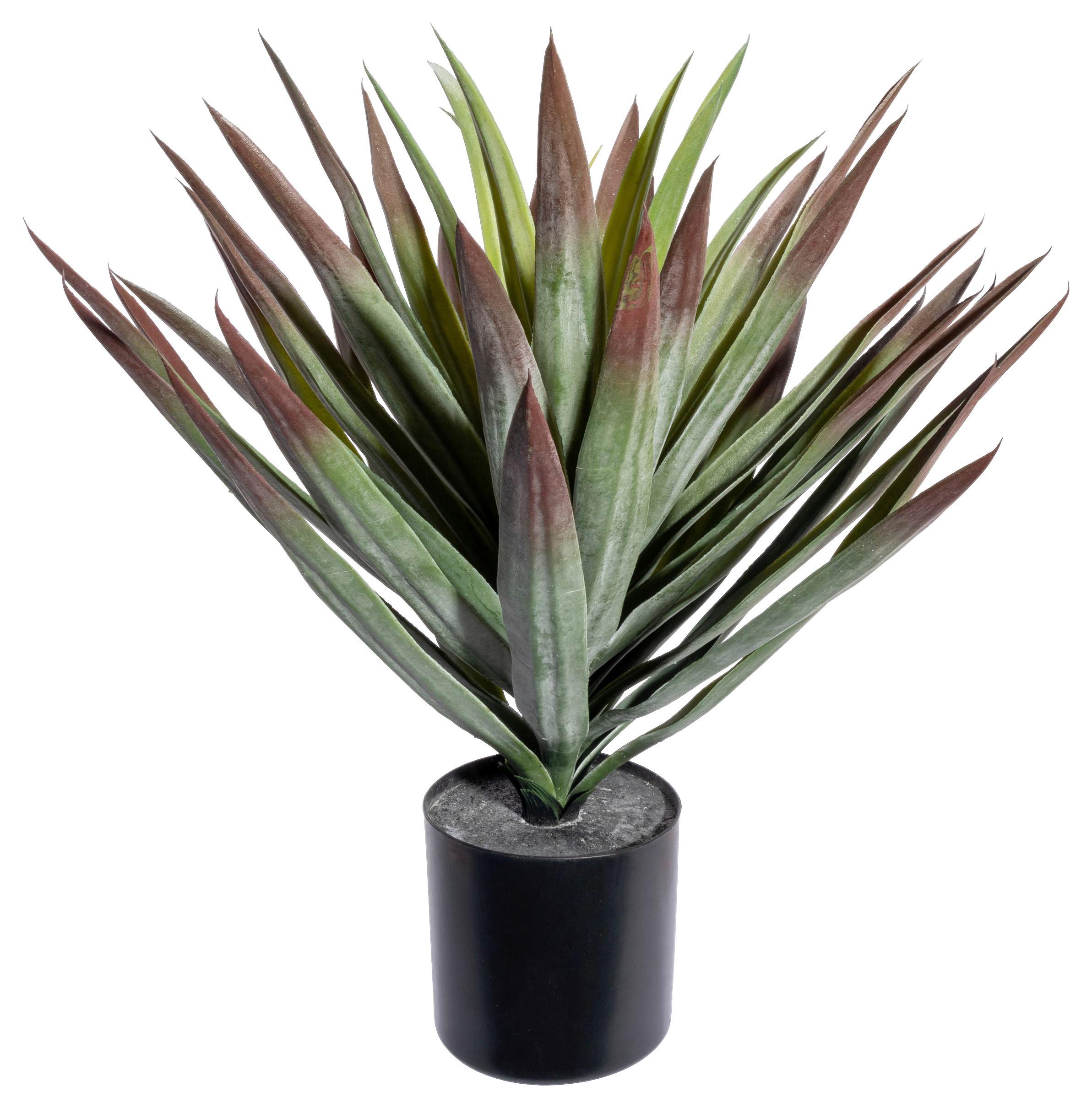 Kunstpflanze Sukkulenten Grün/Rot/Schwarz, 48 cm - Rot/Schwarz, Design, Kunststoff (48cm) - P & B