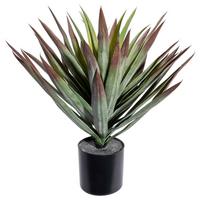 Kunstpflanze Sukkulenten Grün/Rot/Schwarz, 48 cm - Rot/Schwarz, Design, Kunststoff (48cm) - P & B