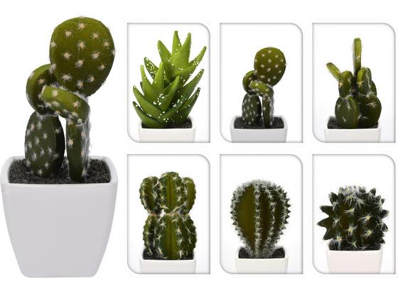 Dekokaktus Cora - Weiß/Grün, LIFESTYLE, Kunststoff (14/23cm) Dekokaktus Cora - Weiß/Grün, LIFESTYLE, Kunststoff (14/23cm)