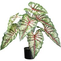 Kunstpflanze H: 66 Cm - Rot/Braun, Design, Kunststoff (66cm) - P & B