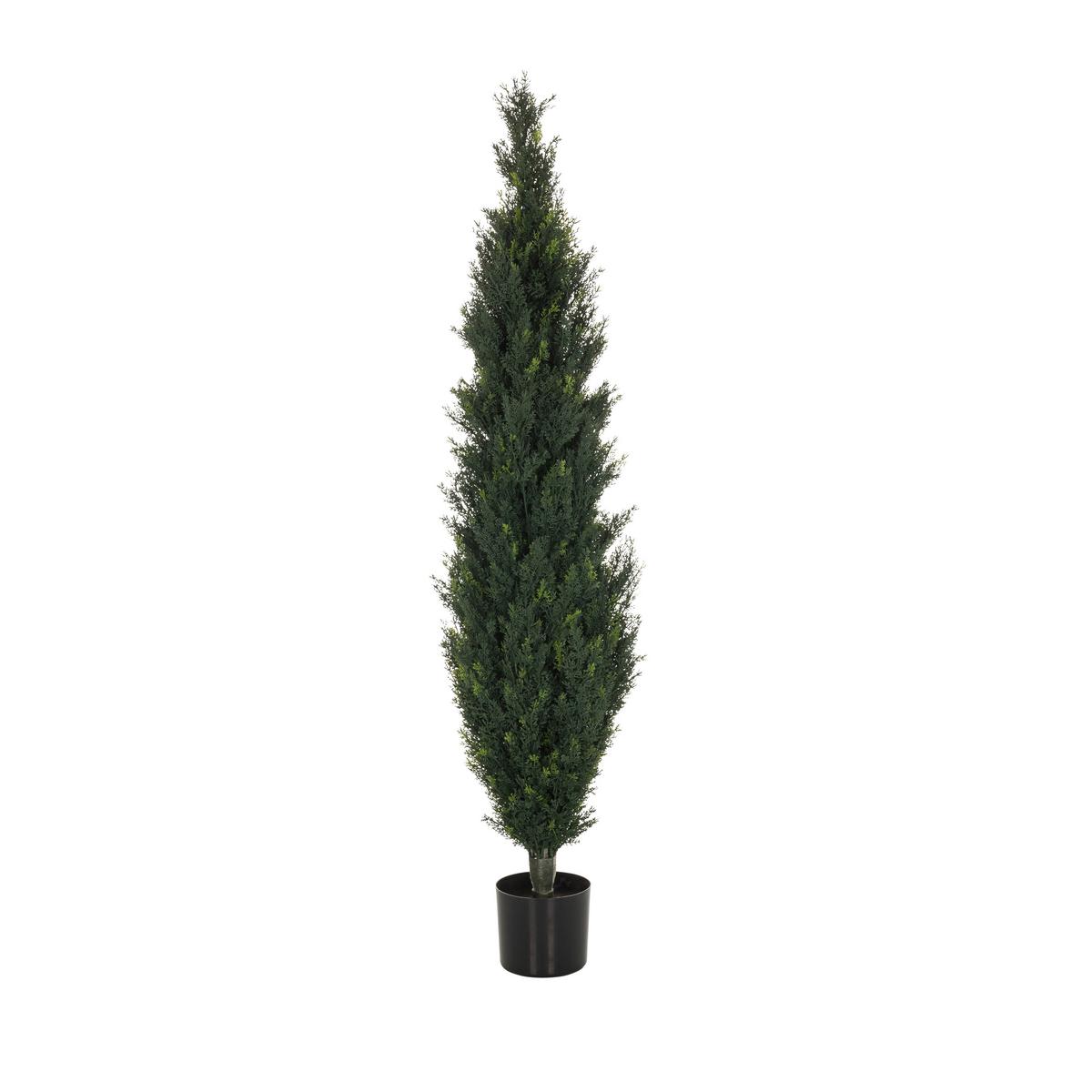Kunstpflanze Cedrus 152 Cm Grün - Schwarz/Grün, Basics, Kunststoff (35/152/35cm) - MID.YOU