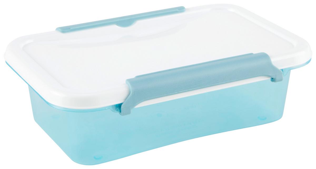 Aufbewahrungsdose Bianca - Blau/Transparent, Basics, Kunststoff (61/40/140cm) - Luca Bessoni