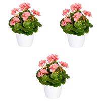 Kunstpflanze Blühpflanzen Rosa/Grün/Weiß, 24 cm - Rosa/Weiß, Design, Keramik/Kunststoff (24cm) - P & B