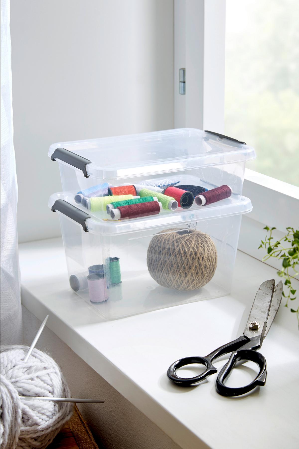 Box mit Deckel Mila - Transparent/Schwarz, KONVENTIONELL, Kunststoff (19,5/15/6,5cm) - Homezone