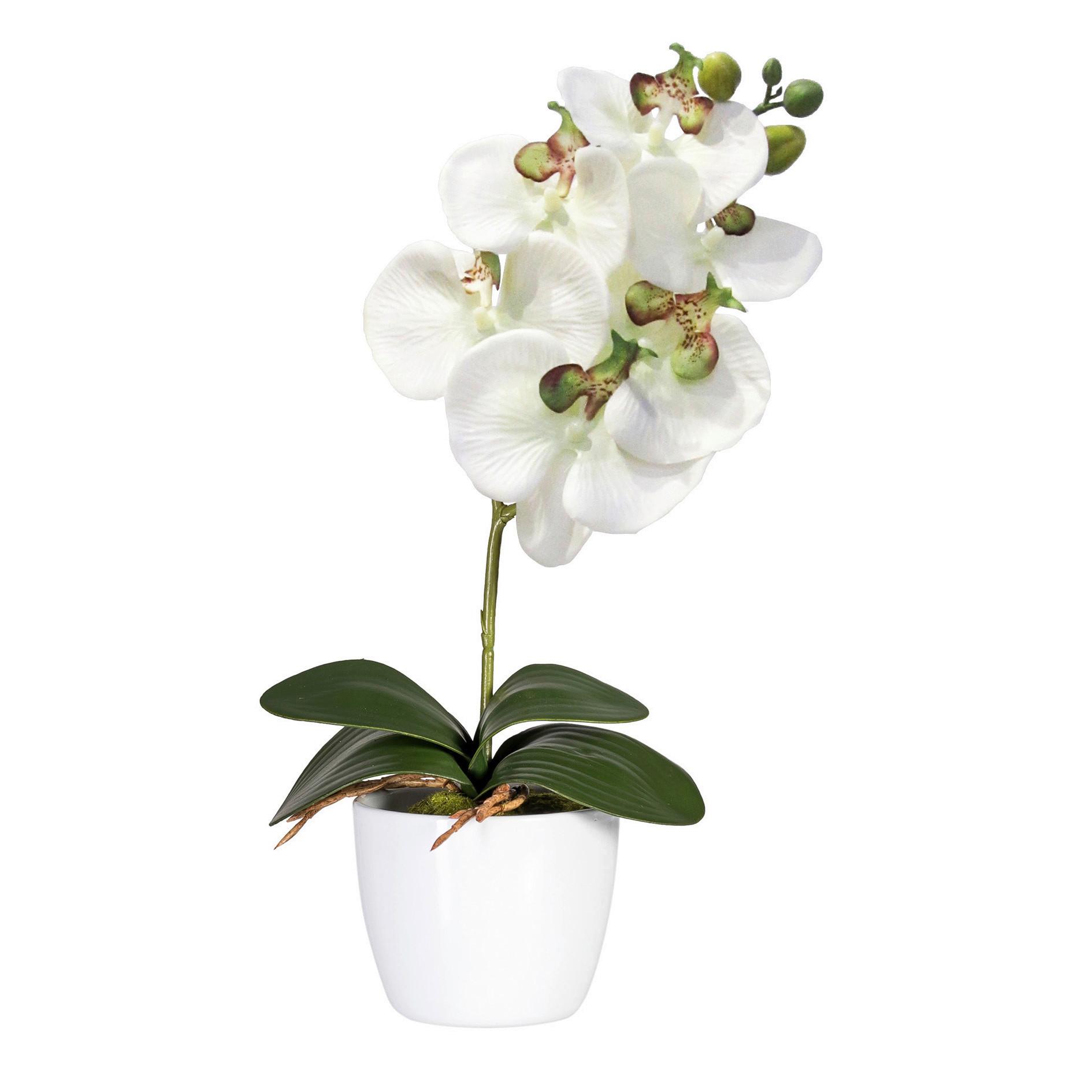 Kunstpflanze Orchidee Bunt H: 40 cm Im Topf, Sofie - Lila/Weiß, KONVENTIONELL, Keramik/Kunststoff (40cm)