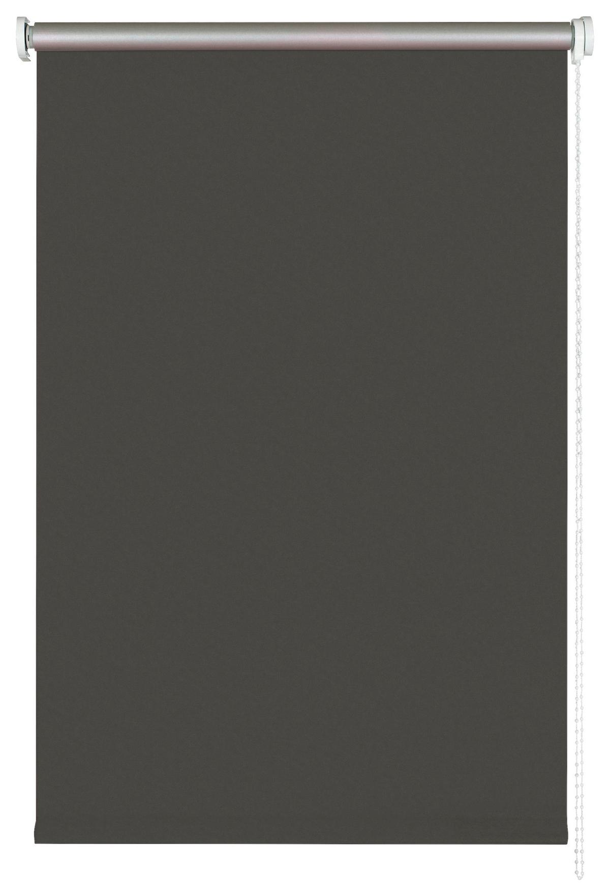 Sötétítő Roló Sarah - palaszürke, Modern, textil (60/150cm) - Luca Bessoni