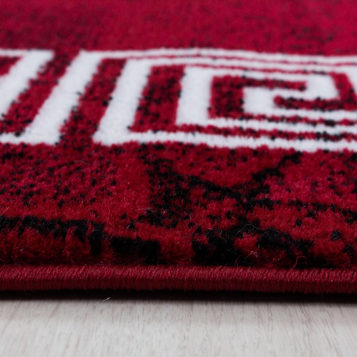 Teppich Läufer Rot/weiß Plus 80x300 Cm - Rot/Weiß, Design, Textil (80/300cm)