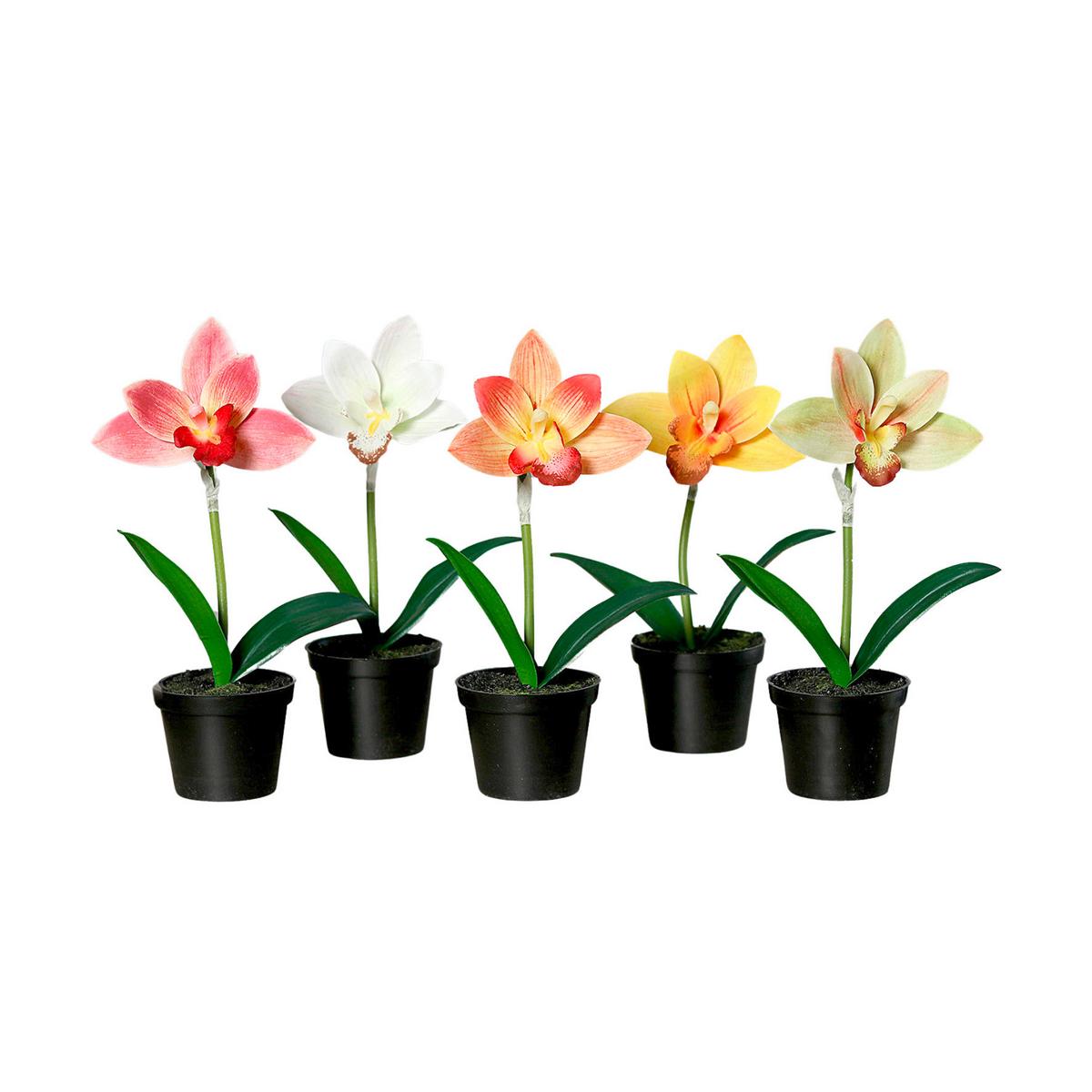 Kunstblume Cymbidie - Creme, Basics (24cm)