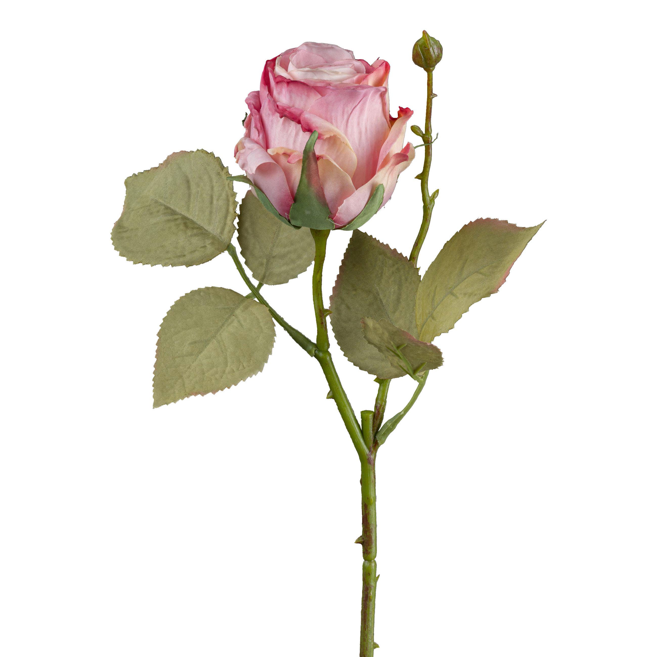 DEKORAČNÍ VĚTVIČKA VINTAGEROSE I - tmavě růžová/zelená, Konvenční, plast (45cm) - Modern Living
