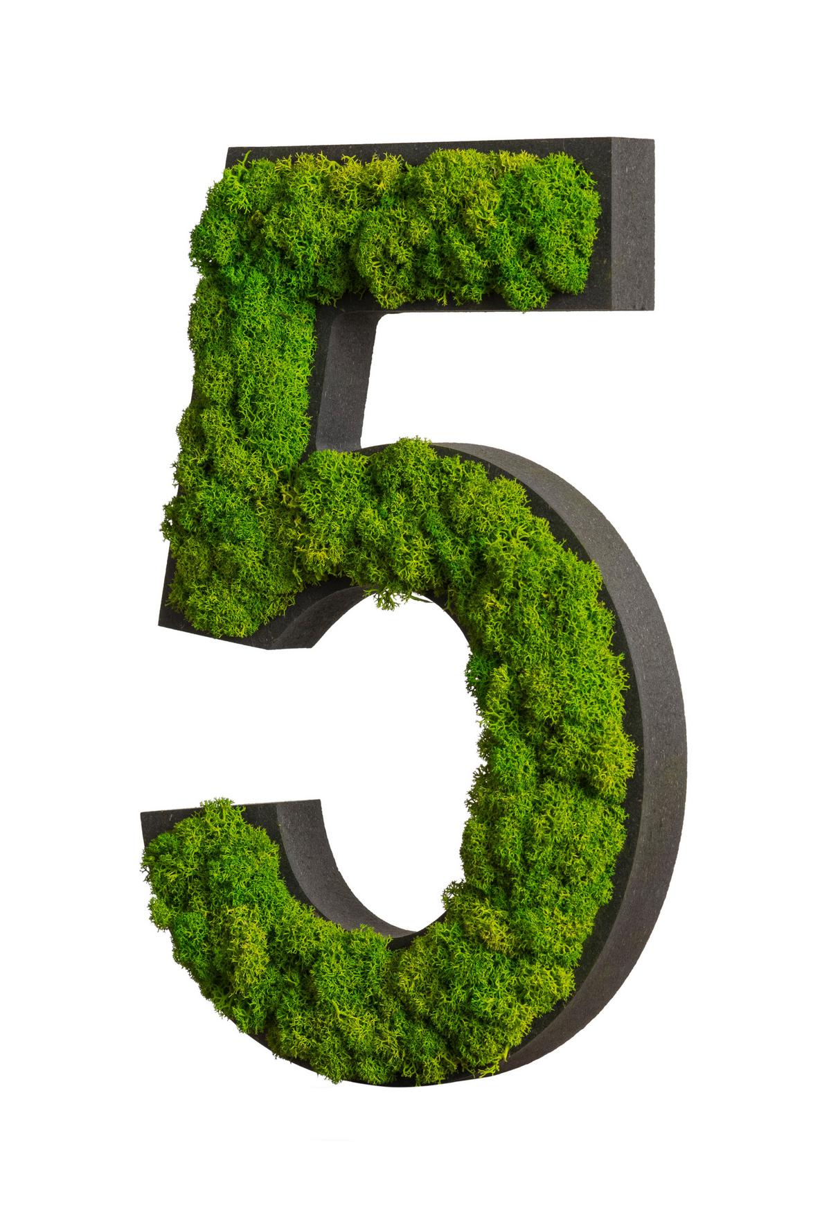 Moosbild Grün B : 25 cm - Schwarz/Grün, Basics, Naturmaterialien/Holz (25/17/2,5cm)