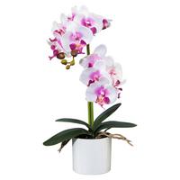 UMĚLÁ ROSTLINA PHALÄNOPSIS II - bílá/zelená, Romantický / Rustikální, kov/plast (45cm) - Modern Living