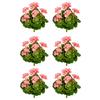Kunstpflanze Blühpflanzen Rosa/Grün, 24 cm - Rosa/Grün, Design, Kunststoff (24cm) - P & B