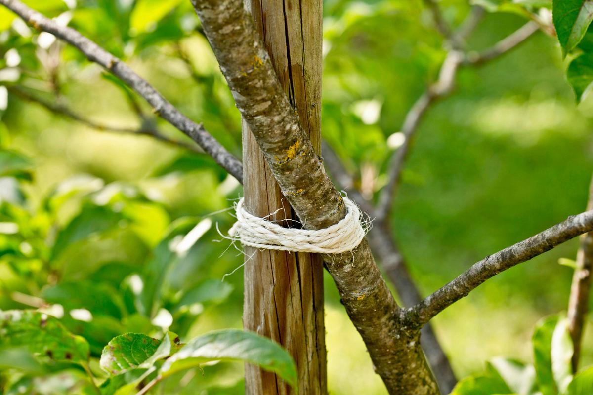 Sisal Garten-kordel Weiß, 150m - Weiß, Basics, Textil (0,25/15000cm) - Windhager