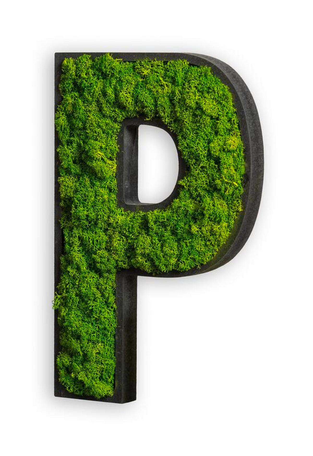 Moosbild Grün B: 25 cm - Schwarz/Grün, Basics, Naturmaterialien/Holz (25/16/4cm)