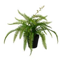 Dekoračná rostlina Farn, V: 40cm - zelená, Basics, plast (40cm) - Modern Living