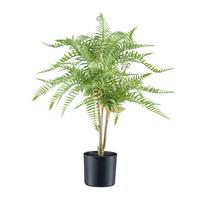 Kunstpflanze Farn H: 60 cm - Schwarz/Braun, Design, Kunststoff (60cm) - P & B