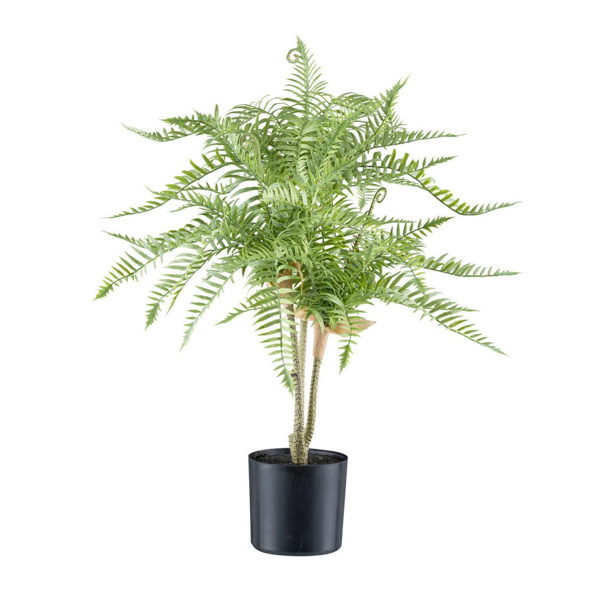 Kunstpflanze Farn H: 60 cm - Schwarz/Braun, Design, Kunststoff (60cm) - P & B