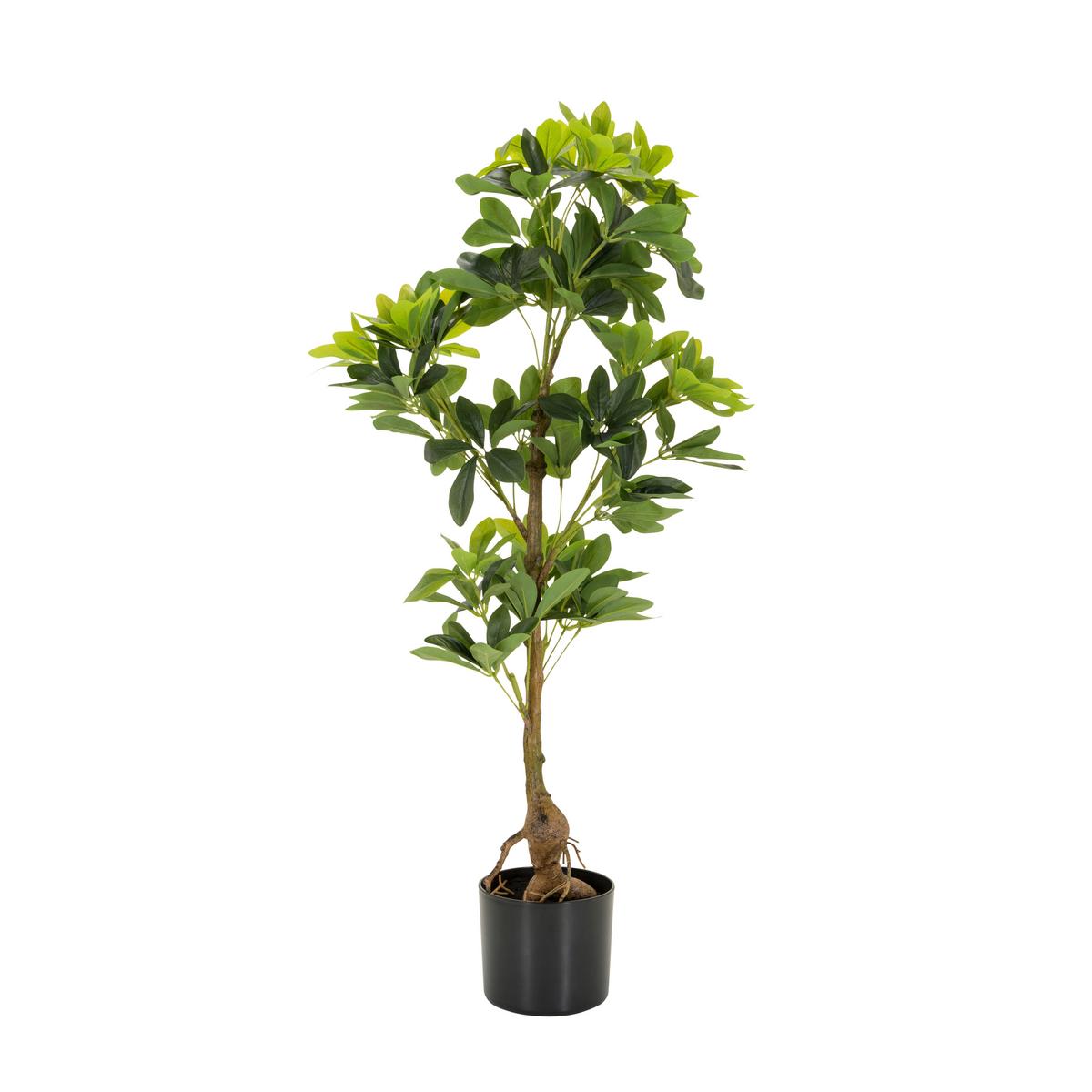 Kunstpflanze Schefflera - Schwarz/Braun, Basics, Kunststoff/Textil (38/100/30cm) - MID.YOU