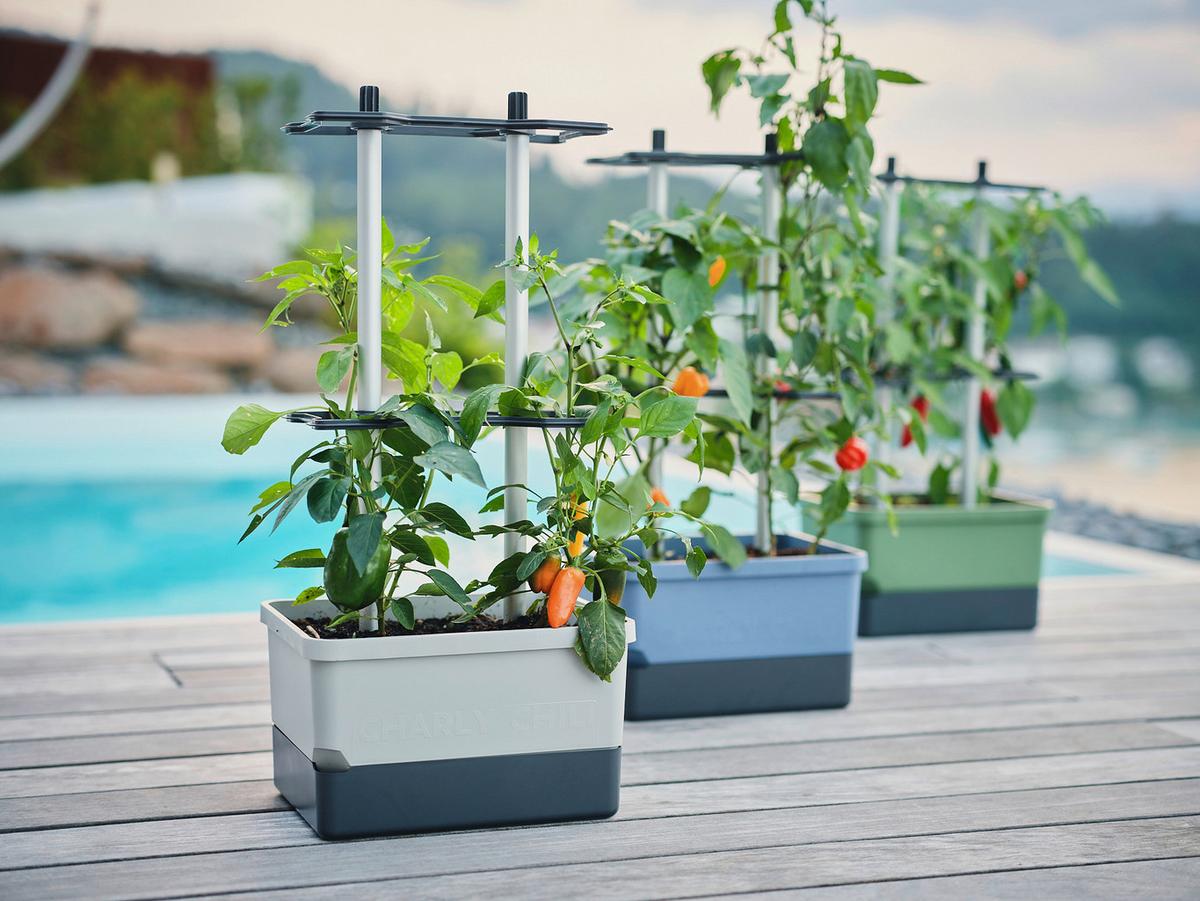 Pflanztopf grau/Hellgrau - Hellgrau/Grau, Basics, Kunststoff (34,5/69/27,5cm) - Gusta Garden