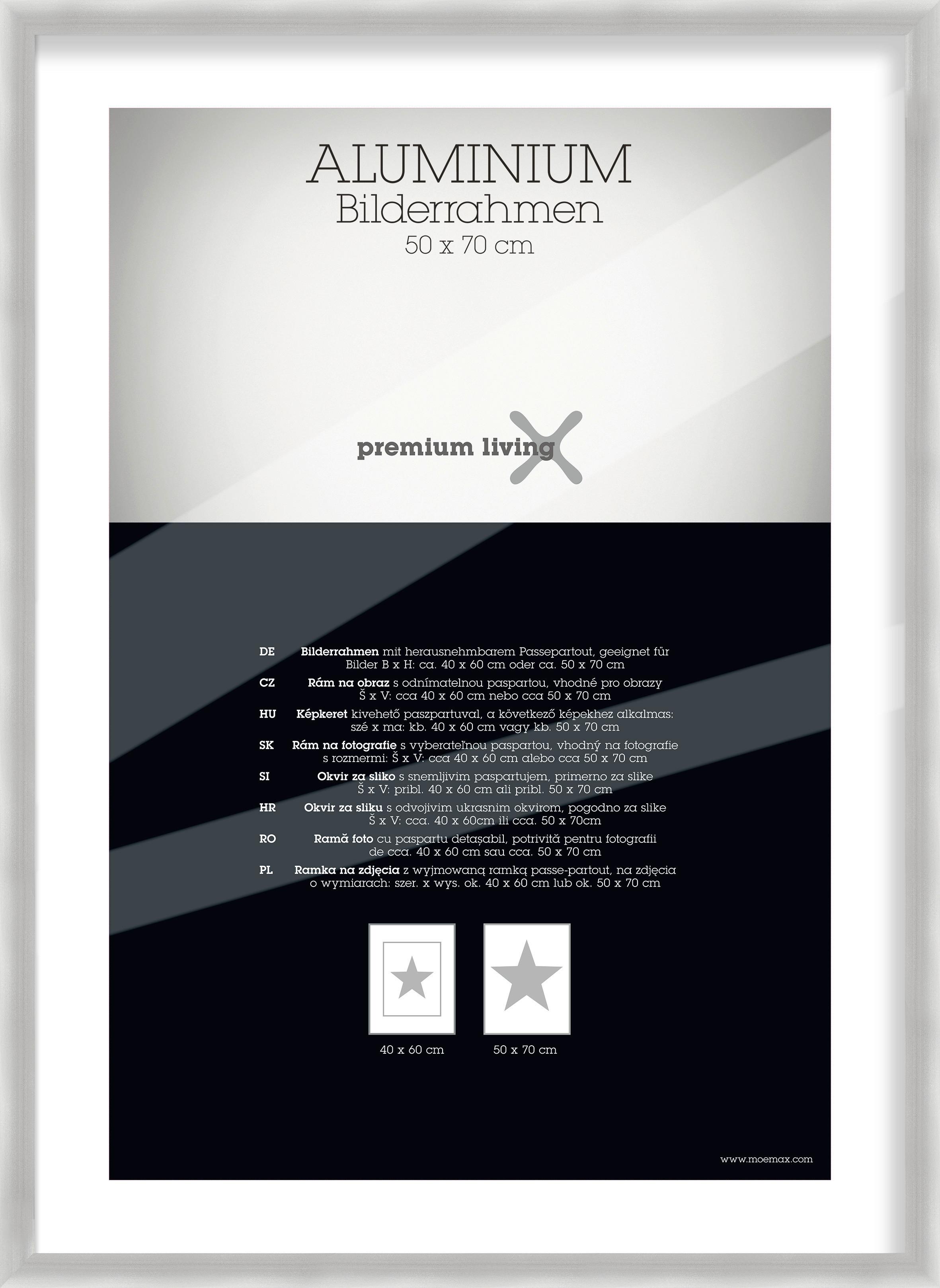 Rám na fotky 53,1/73,1 cm - strieborná, Basics, kov (53,1/73,1/2.2cm) - Premium Living