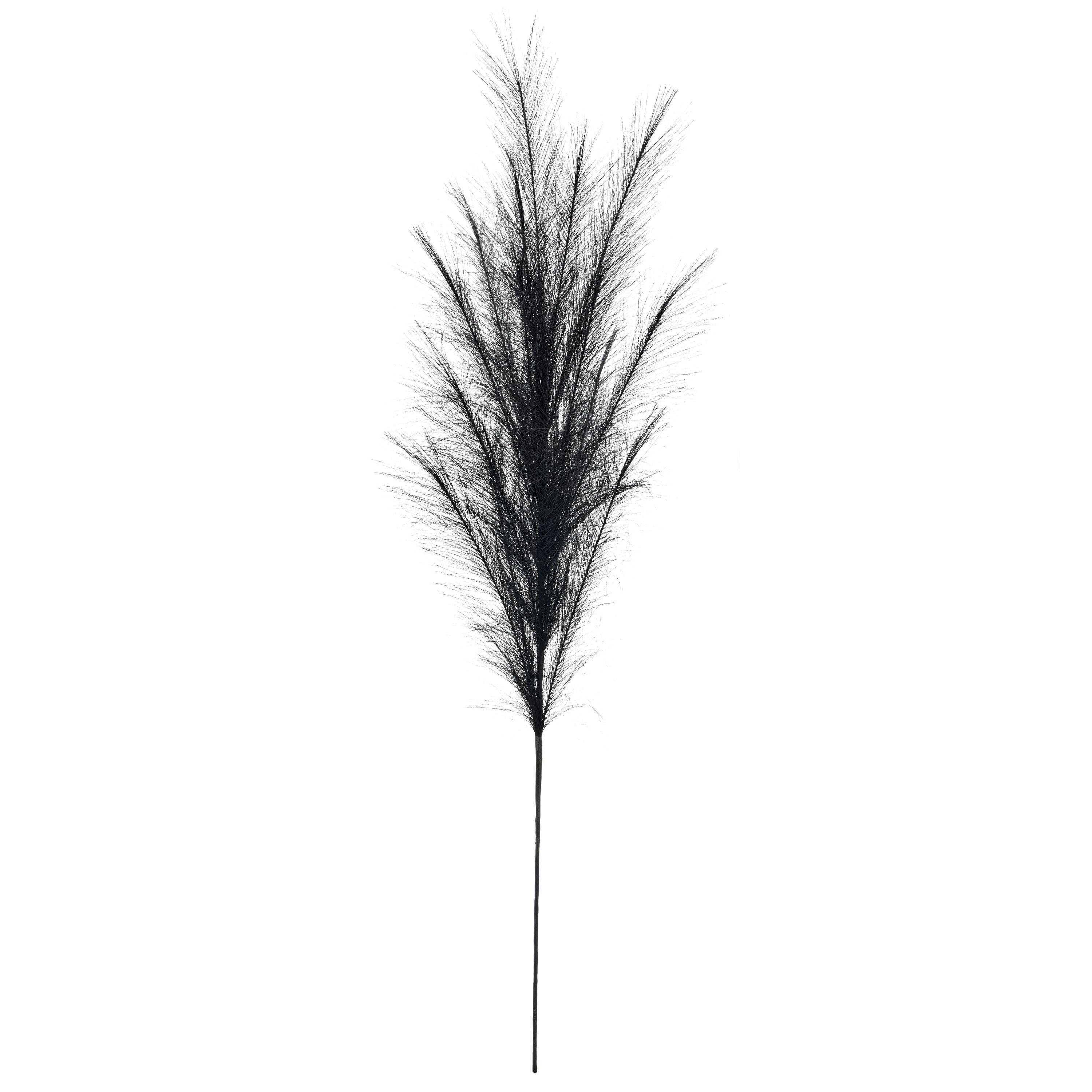 Umelá rastlina PAMPASGRAS II - čierna, Basics, plast (120cm) - Mömax