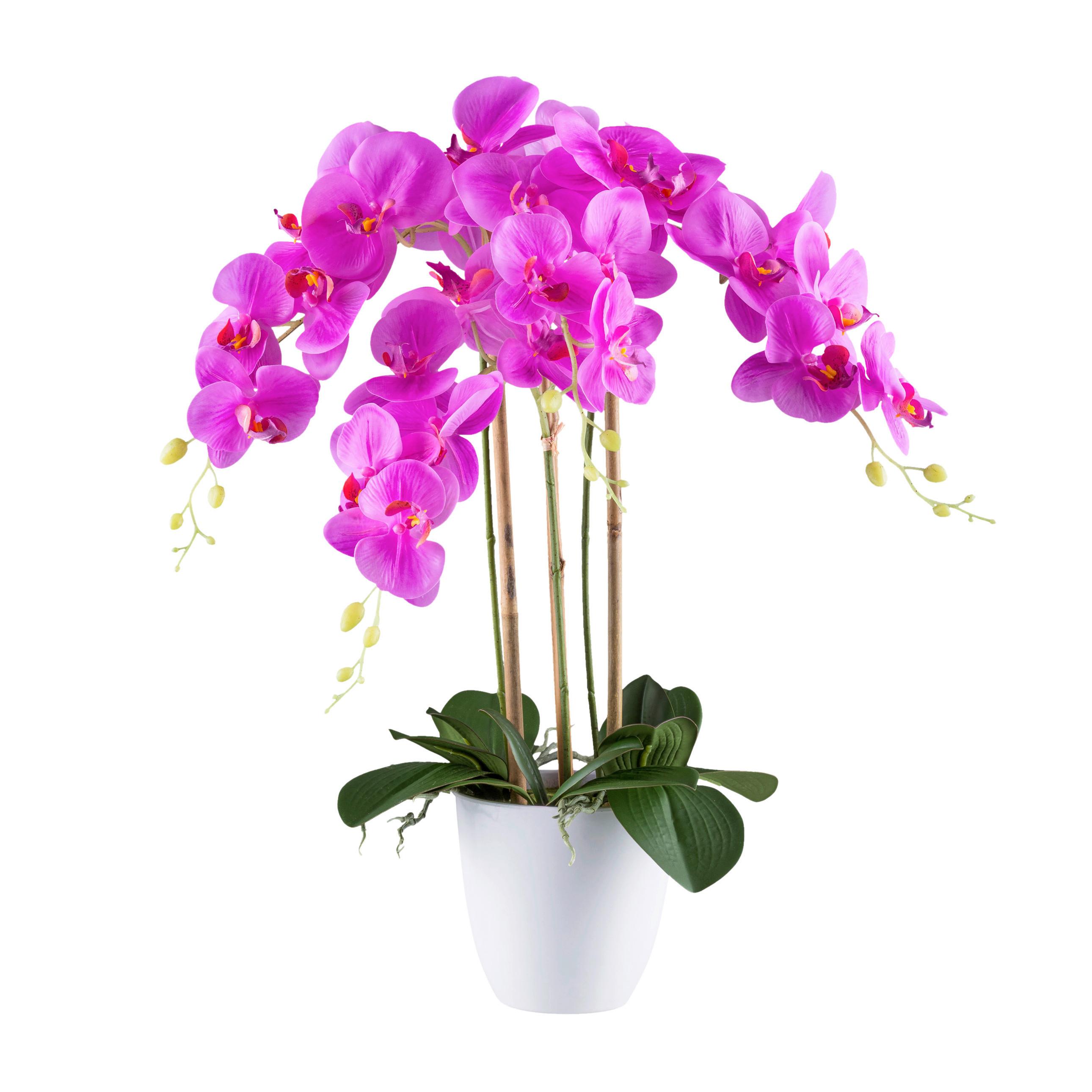 Kunstpflanze Orchideen Grün/weiß/pink, 62 Cm - Pink/Weiß, Design, Kunststoff (62cm) - P & B