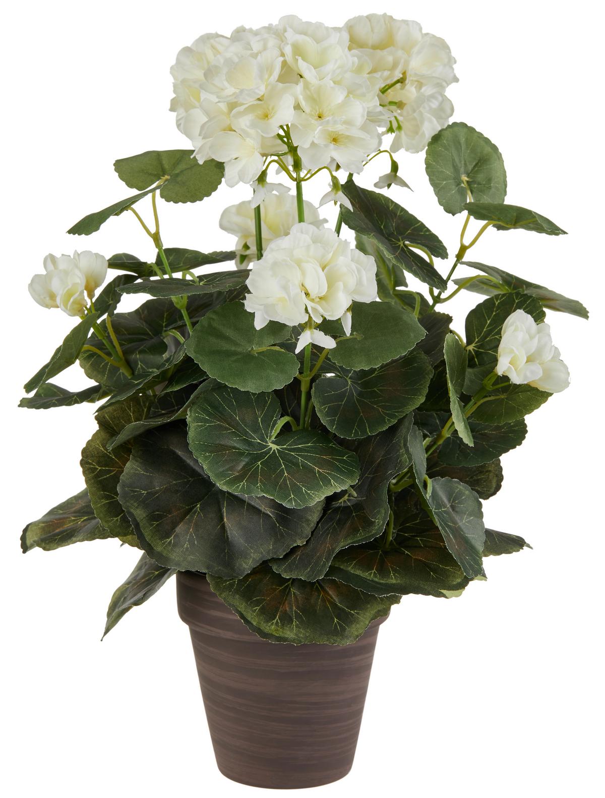 Művirág Gisi - barna/rózsaszín, Modern, műanyag/kerámia (16/36cm) - Luca Bessoni