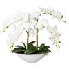 Kunstpflanze Orchideen Weiß, Topf: Weiß, H: 53 cm - Weiß/Grün, Design, Keramik/Kunststoff (53cm) - P & B