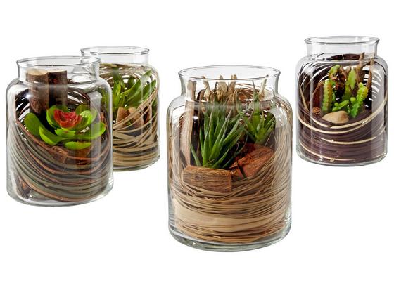 Květináč Tina - průhledné/zelená, Moderní, umělá hmota/sklo (12,5/16cm) Květináč Tina - průhledné/zelená, Moderní, umělá hmota/sklo (12,5/16cm)