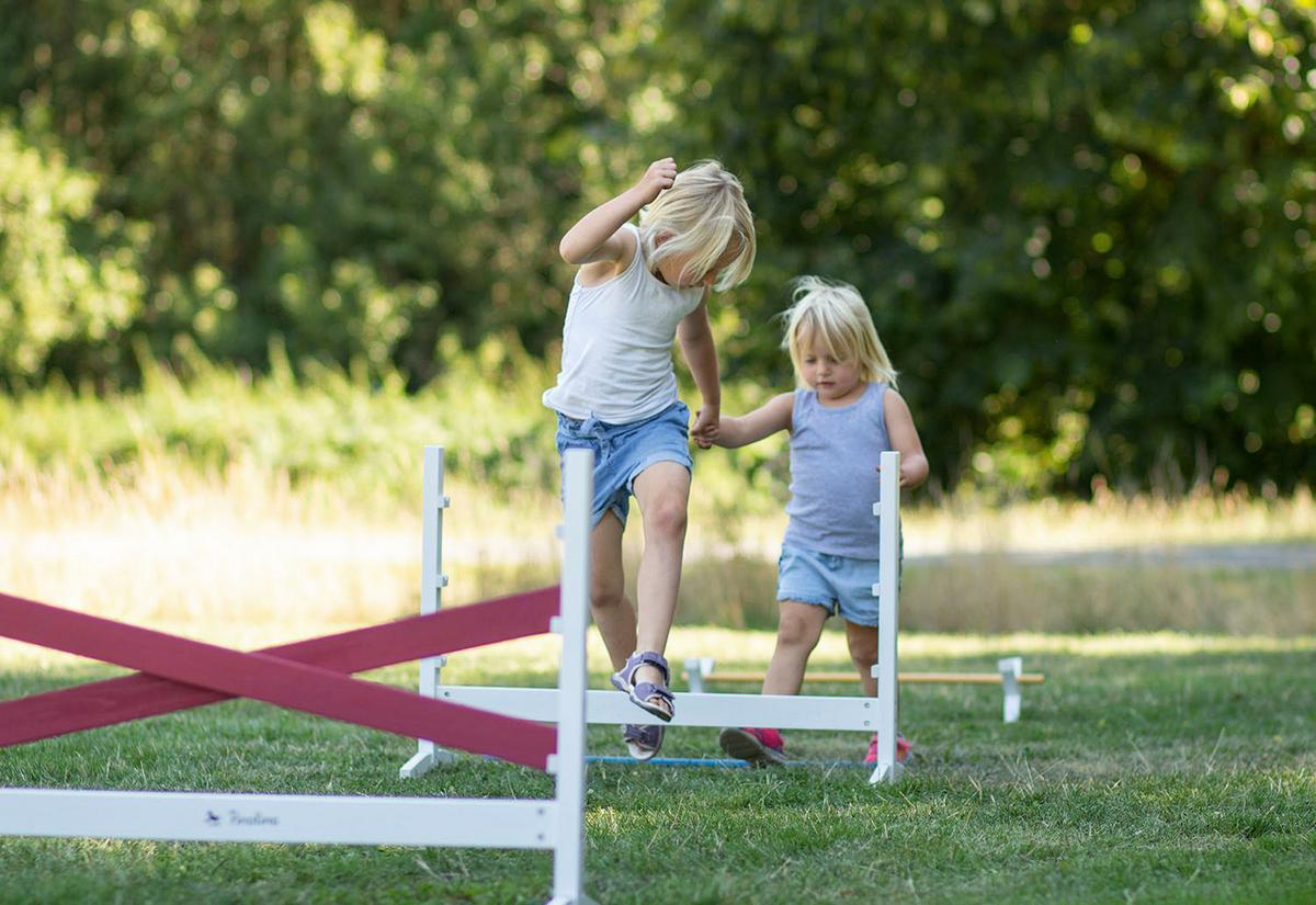 Hindernisparcour Tanne Bxhxt: 92x67x50 Cm - Blau/Gelb, Basics, Holz (92/67/50cm) - Pinolino