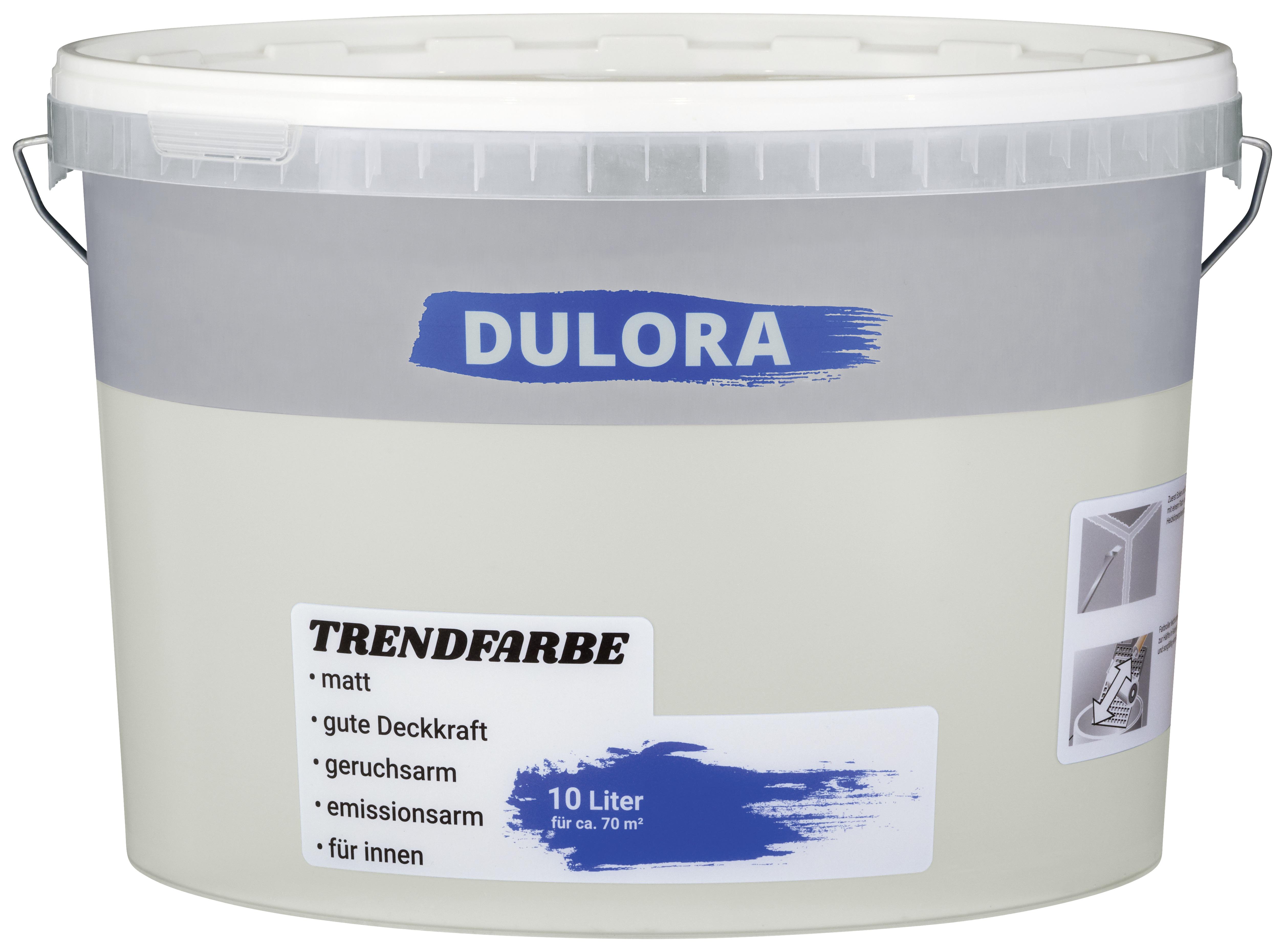 Wandfarbe Dulora 10 Liter Feder