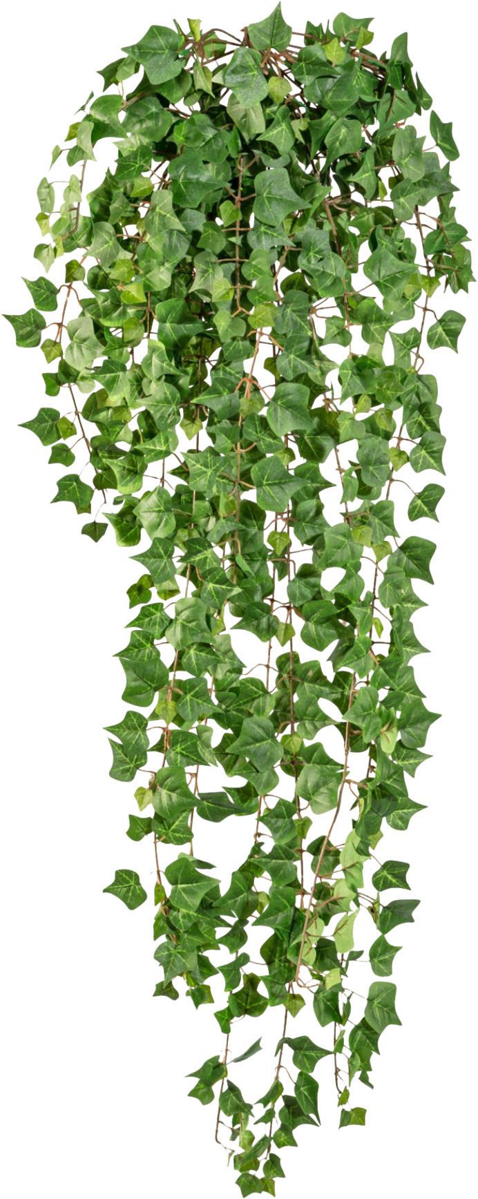 Kunstpflanze Hängepflanze Grün, 115 Cm - Grün, Design, Kunststoff (115cm) - P & B