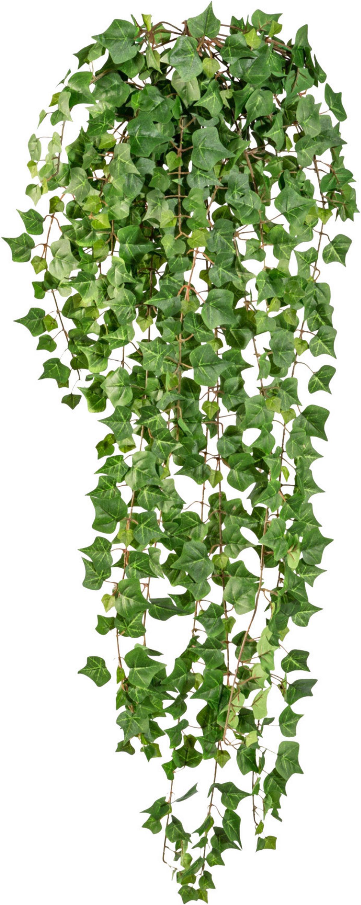 Kunstpflanze Hängepflanze Grün, 115 cm - Grün, Design, Kunststoff (115cm) - P & B