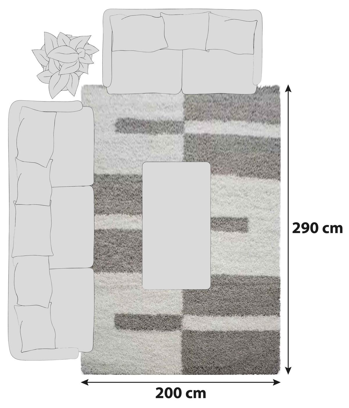 Hochflor Teppich Beige Gala 200x290 cm - Beige, Design, Textil (200/290cm)