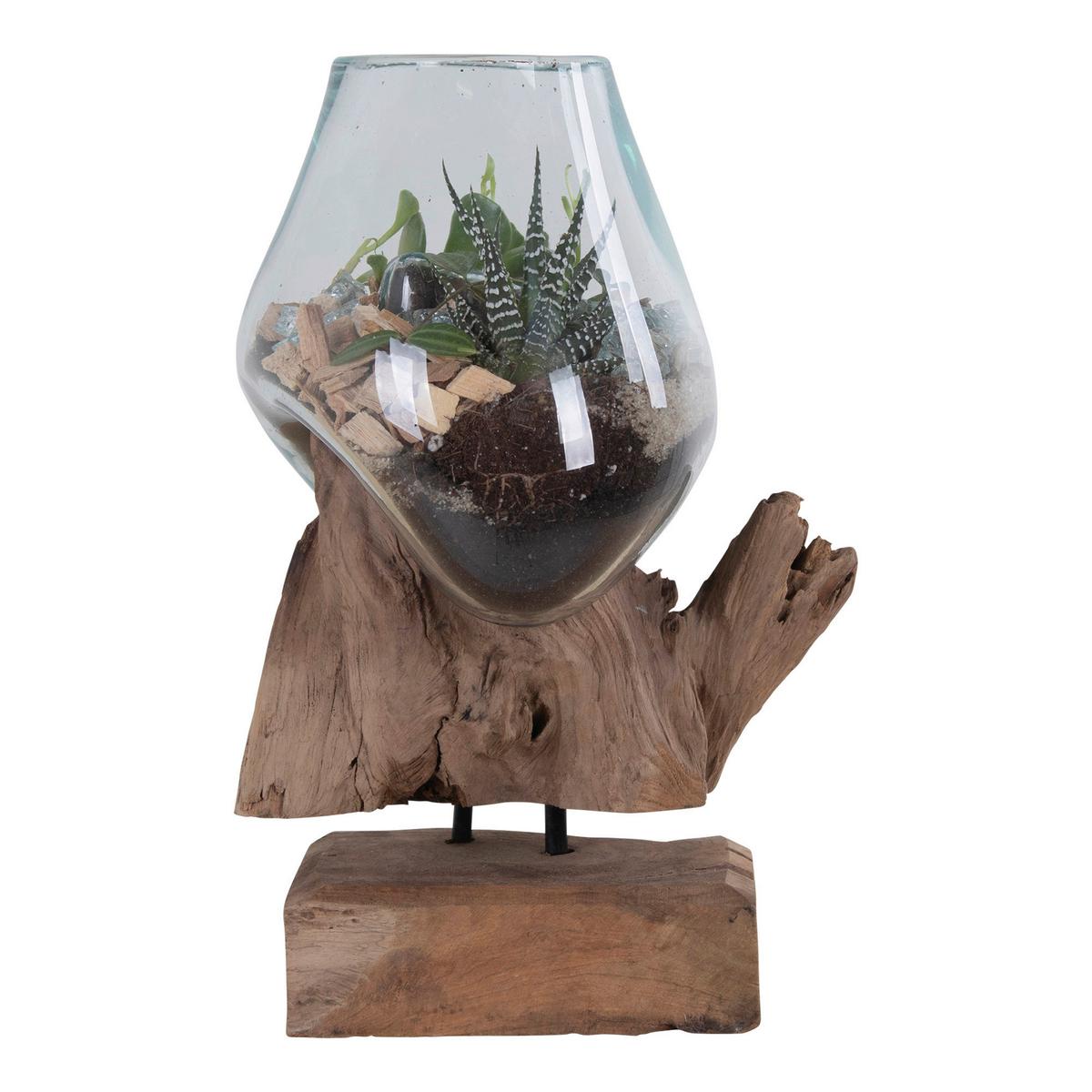 Vase Klar Teakfarben B: 18 Cm - Klar/Teakfarben, Design, Glas/Holz (18/25/15cm)