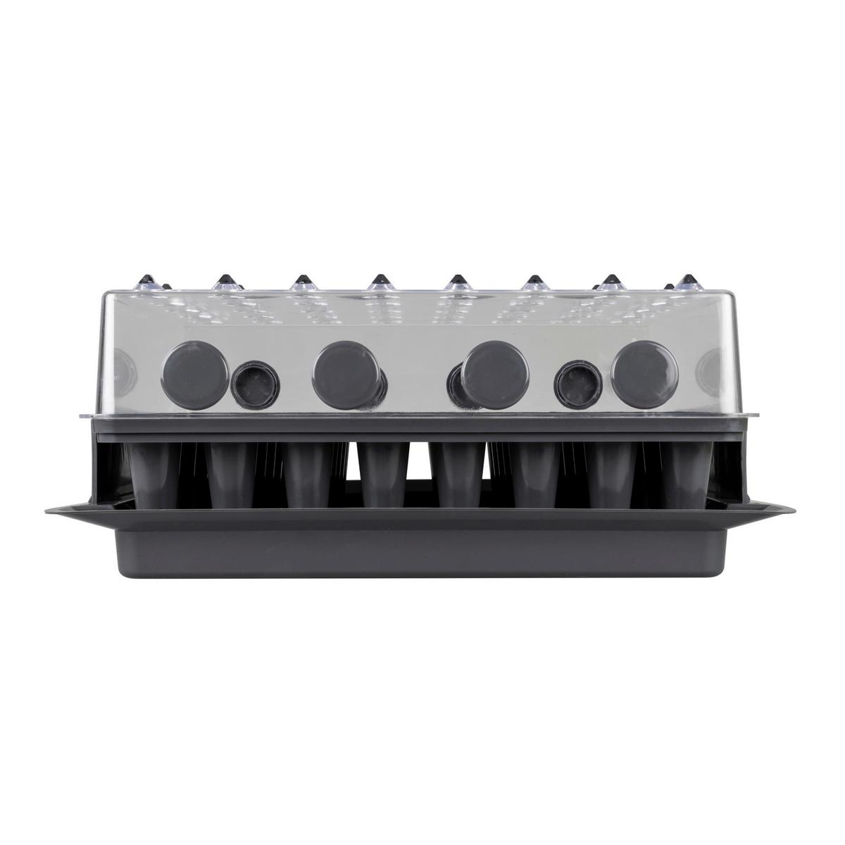Pflanzset 3in1 Rootxtender Wurzelvorschule - Schwarz, Basics, Kunststoff (24/16/38cm)