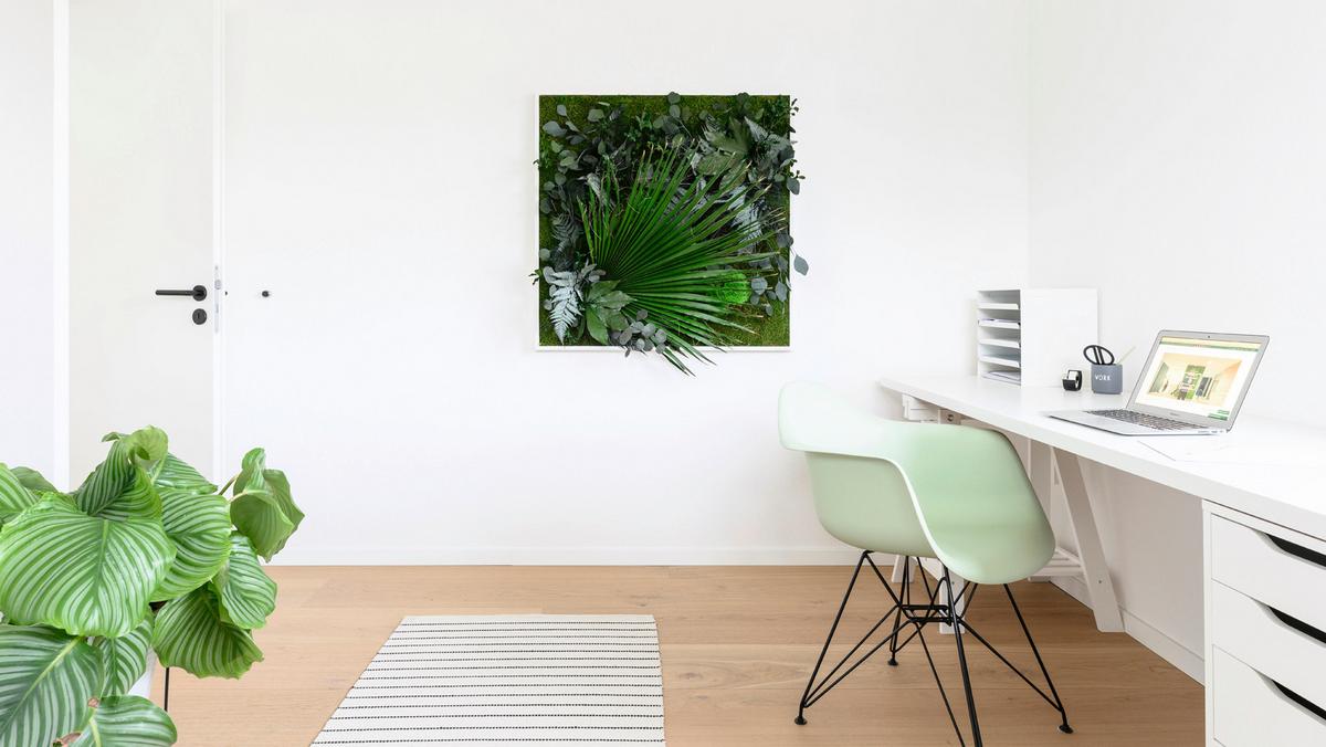 Moosbild Moos Grün B: 80 cm - Weiß/Grün, Basics, Naturmaterialien/Holz (80/80/18-22cm)