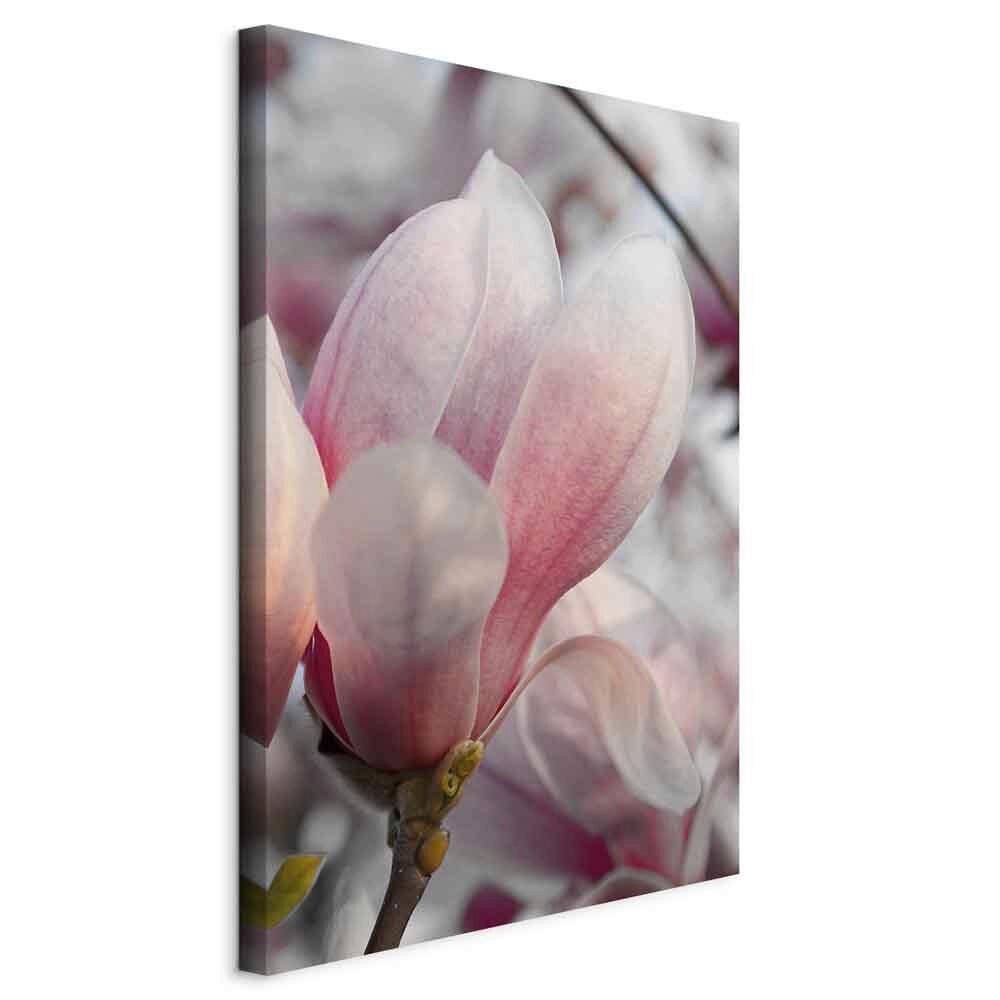 LEINWANDBILD Pink Grau B: 40 cm - Pink/Grau, Basics, Holzwerkstoff/Textil (40/60/1,2cm) - artgeist