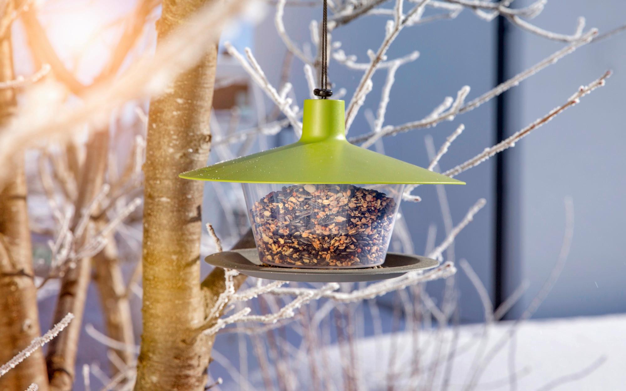 Vogelfuttersilo Urban Life BxHxT: ca. 28x28x17 cm - Grün, Basics, Kunststoff (28/28/17cm) - Windhager