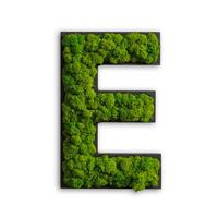 Moosbild Grün B: 26 Cm - Schwarz/Grün, Basics, Naturmaterialien/Holz (26/16/4cm)