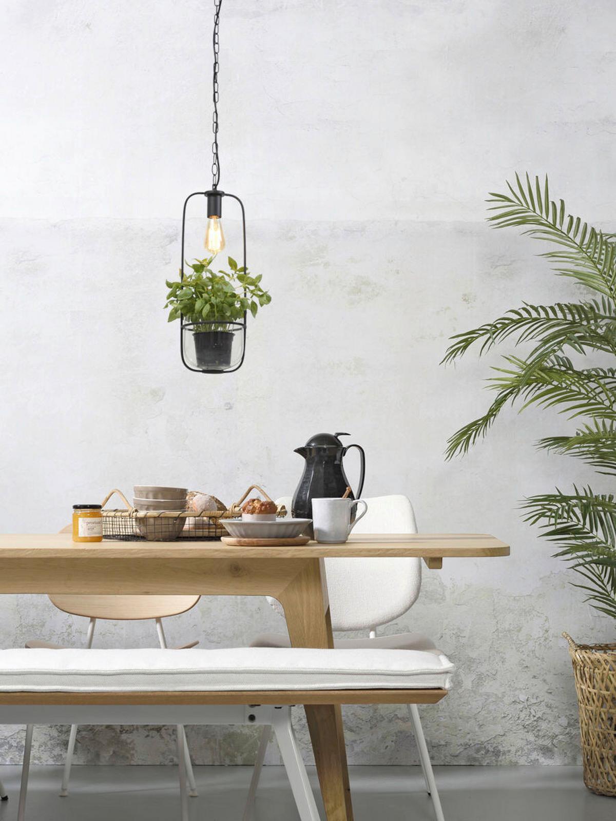 Hängeleuchte Florence/h/b - Transparent/Schwarz, Trend (19/52cm) - It's about Romi