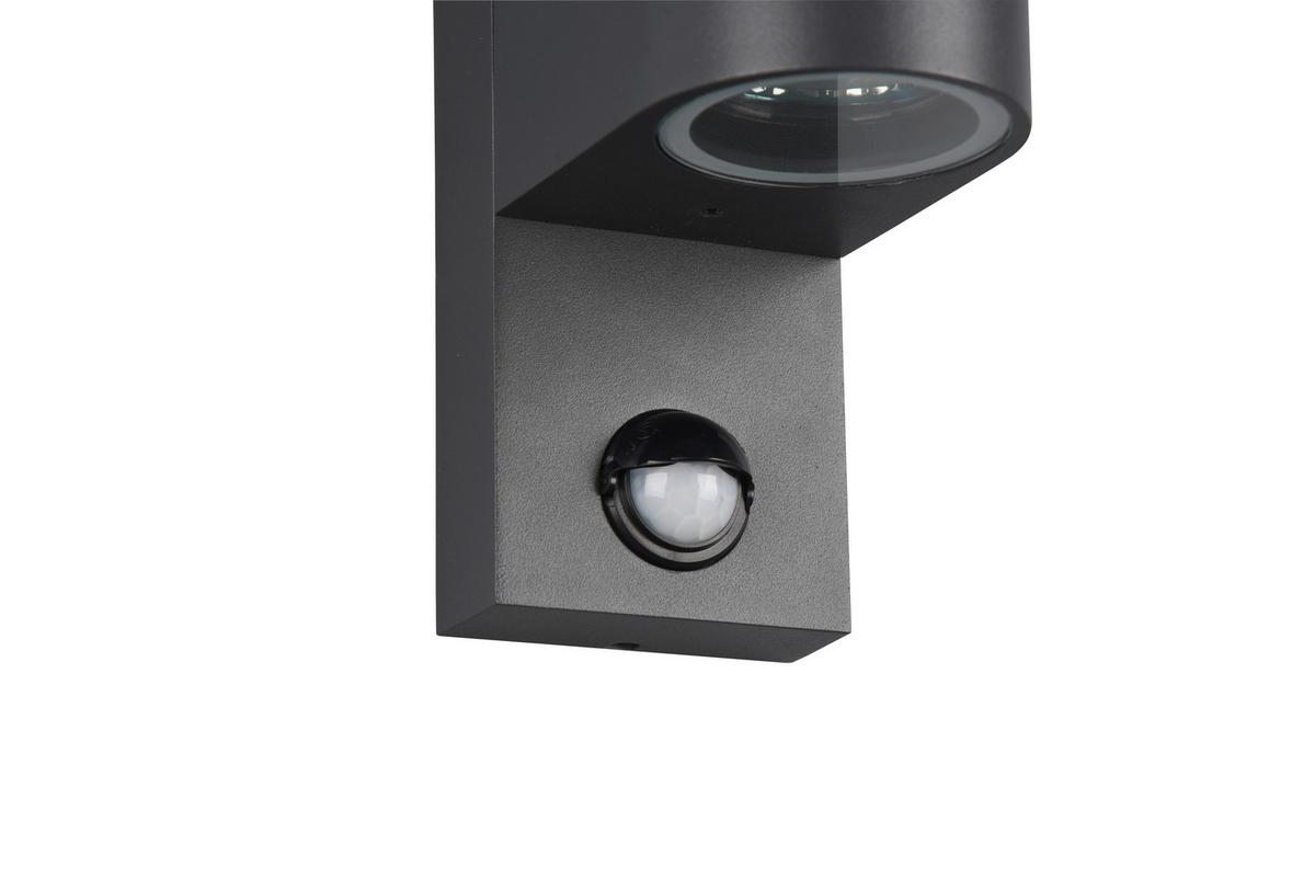 Außenwandleuchte 214260242 Roya - Anthrazit, Basics, Metall (7/22/11,8cm) - Trio Leuchten