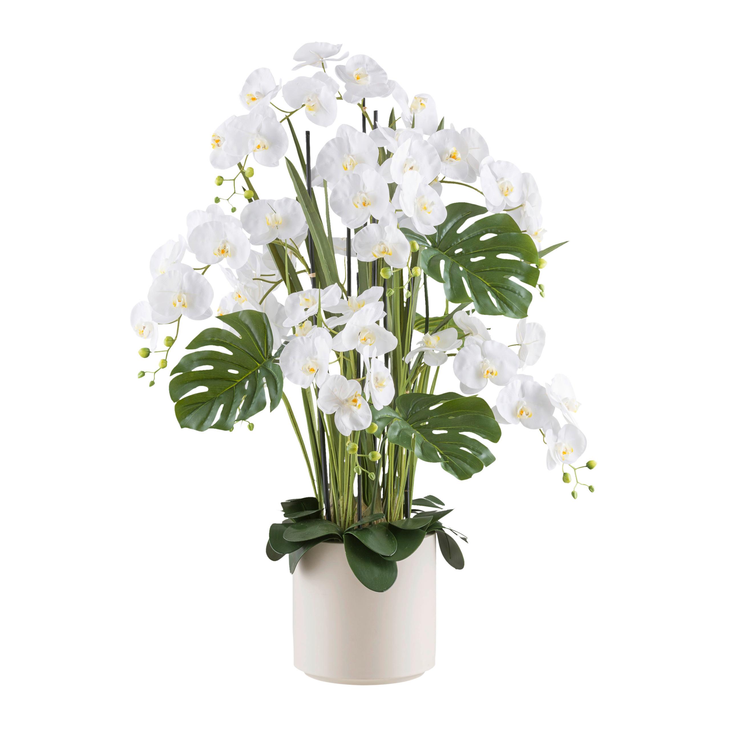 Kunstpflanze Orchideen Creme/Grün/Weiß, 120 cm - Creme/Weiß, Design, Kunststoff (120cm)