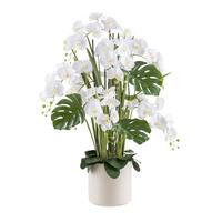 Kunstpflanze Orchideen Creme/Grün/Weiß, 120 cm - Creme/Weiß, Design, Kunststoff (120cm)