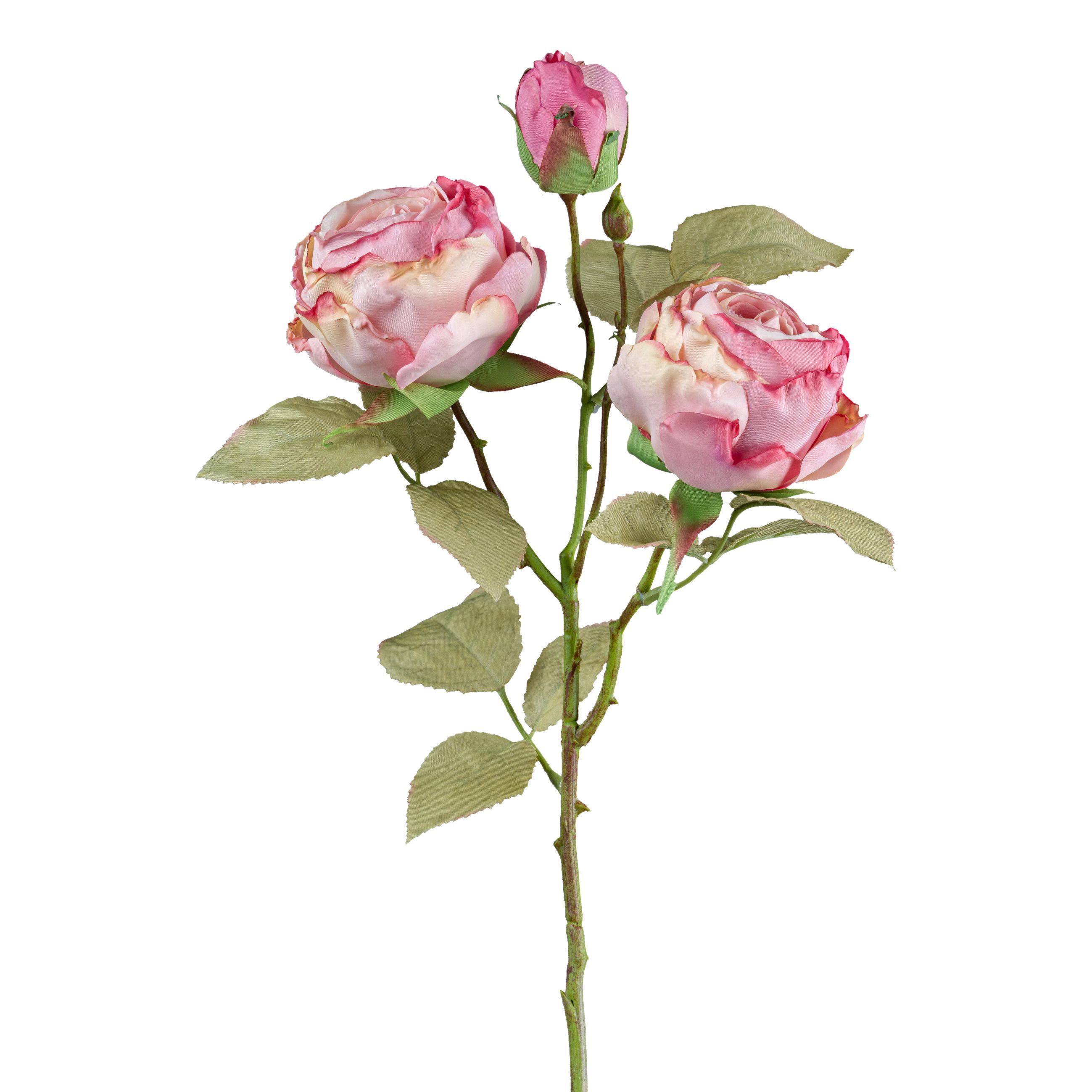 DEKORAČNÍ VĚTVIČKA VINTAGEROSE II - tmavě růžová/zelená, Konvenční, plast (54cm) - Modern Living