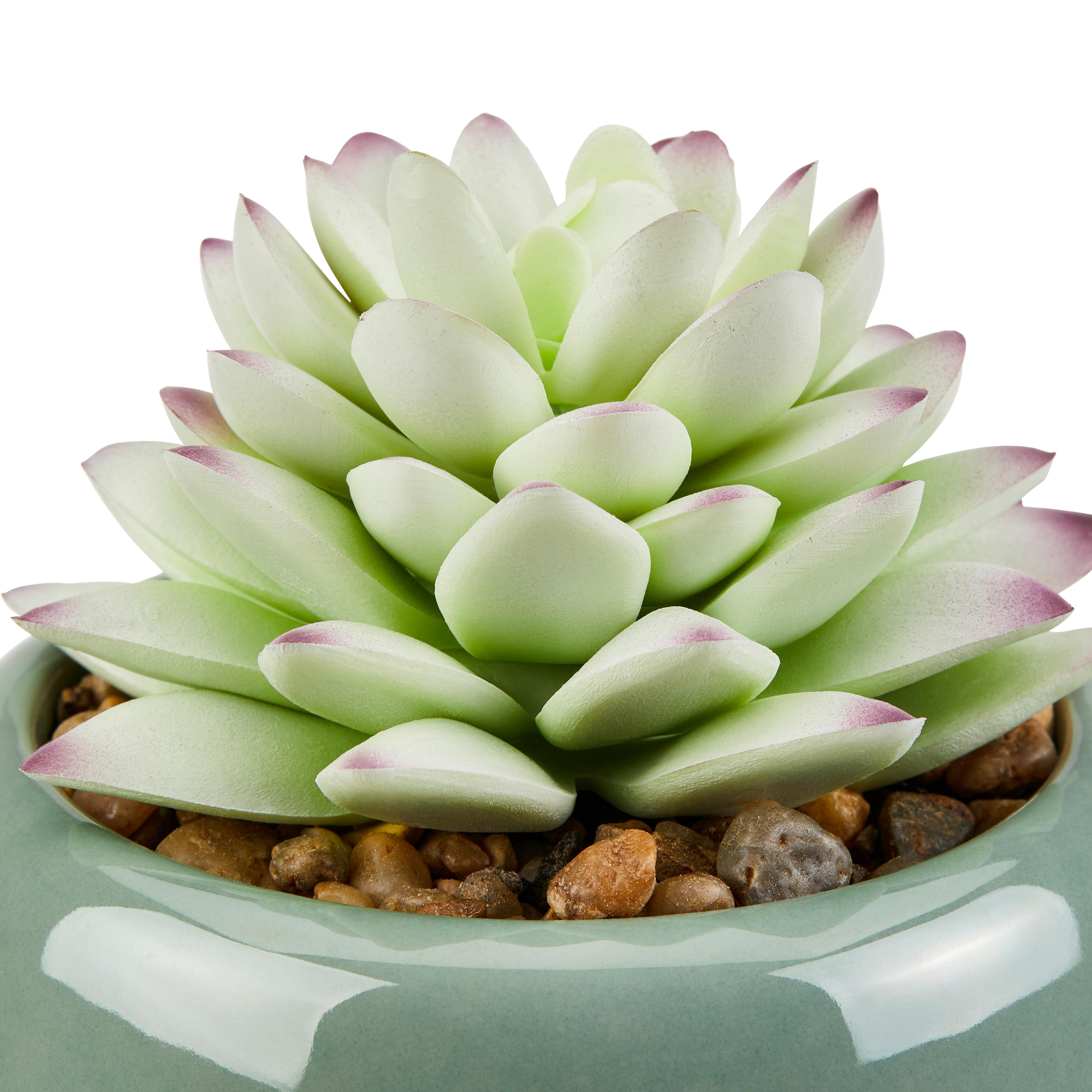 Kunstpflanze Hernan - Beige/Lila, MODERN, Keramik/Kunststoff (11/12cm) - Luca Bessoni
