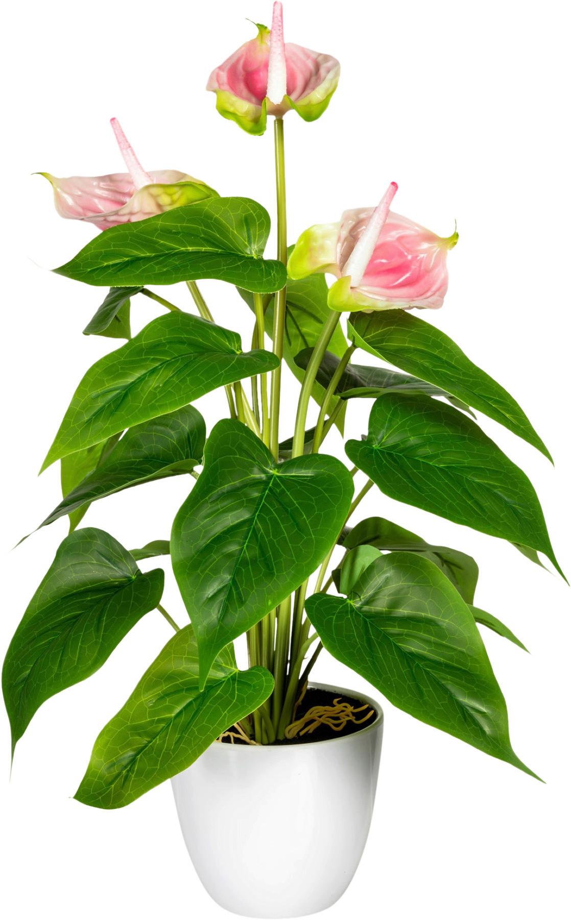 Kunstpflanze Blühpflanzen Grün/Rosa/Weiß, 40 cm - Rosa/Weiß, Design, Kunststoff (40cm) - P & B