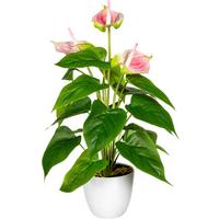 Kunstpflanze Blühpflanzen Grün/Rosa/Weiß, 40 cm - Rosa/Weiß, Design, Kunststoff (40cm) - P & B